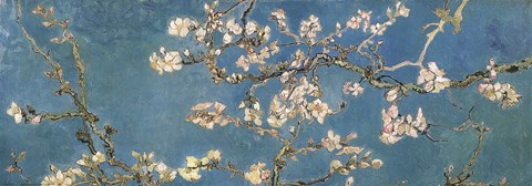 Framed Almond Blossom Print