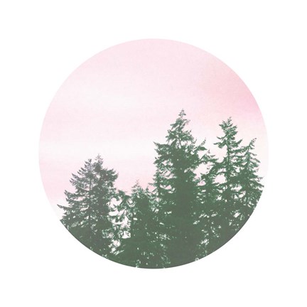 Framed Pink Sky Over Trees Print