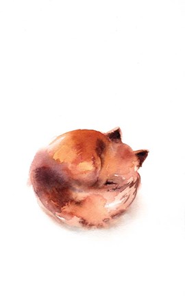 Framed Curled Fox Print