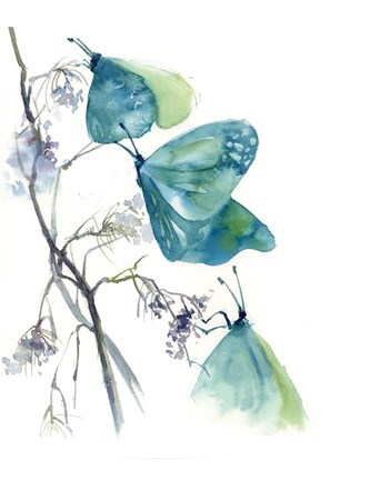 Framed Blue Butterflies Print