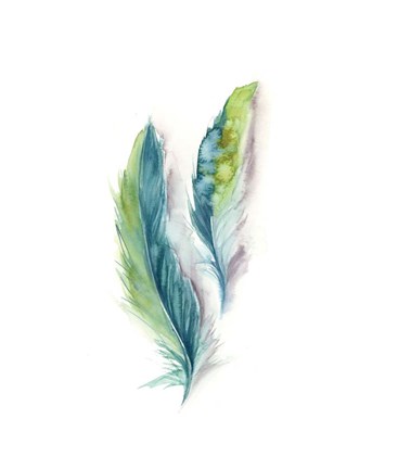 Framed Majestic Feathers II Print