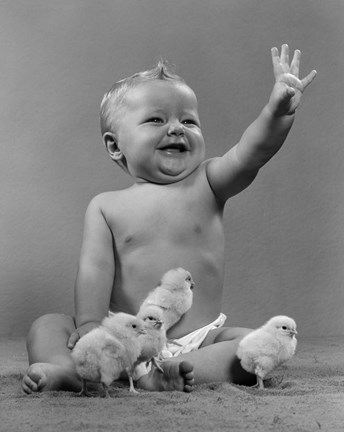 Framed 1950s Laughing Baby Surrounded By Little Baby Chicks Print