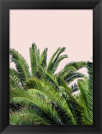 Framed Tropical Leaves on Blush II Print