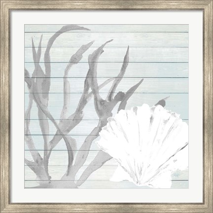 Framed Seashell on Blue Wood Print