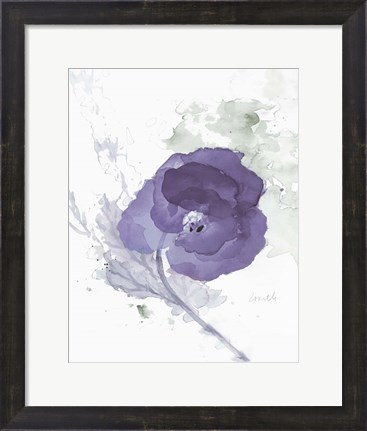 Framed Translucent Mauve Poppy II Print