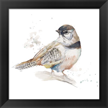 Framed Watercolor Mountain Bird III Print