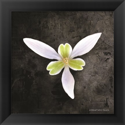 Framed Contemporary Floral Trillium Print