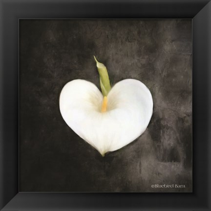 Framed Contemporary Floral Cala Lily Print