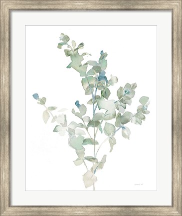 Framed Eucalyptus II Cool Print