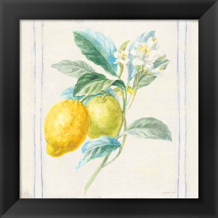 Framed Floursack Lemons II Sq Navy Print