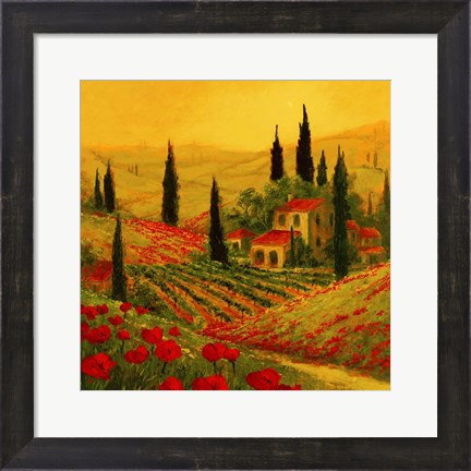 Framed Poppies of Toscano II Print