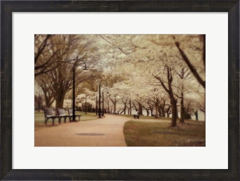 Framed Springtime Stroll Print