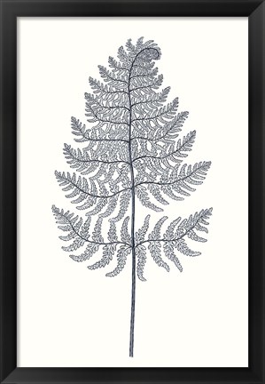 Framed Indigo Botany Study VIII Print