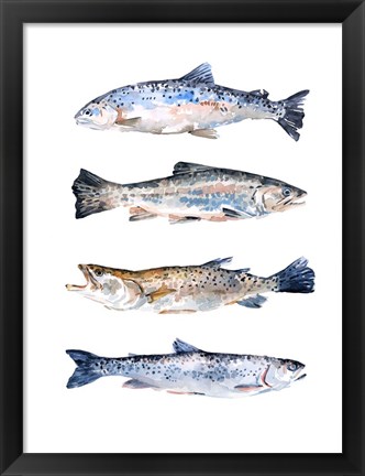 Framed Stacked Trout II Print