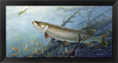 Framed Fish Of A Lifetime Print