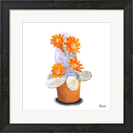 Framed Cactus Flowers VI Print
