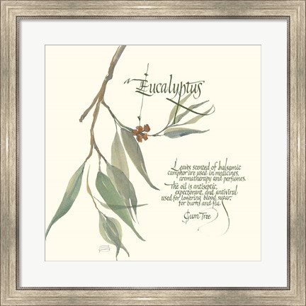 Framed Eucalyptus Print