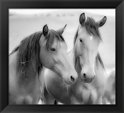 Framed Horse Friends Print