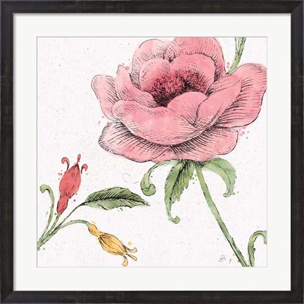 Framed Blossom Sketches II Color Print