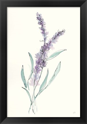 Framed Lavender IV Print