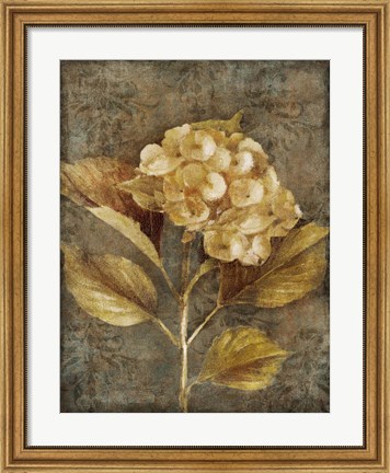 Framed Antique Hydrangea I Print