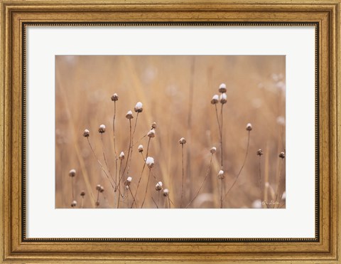 Framed Snow Capped Wildflowers Print