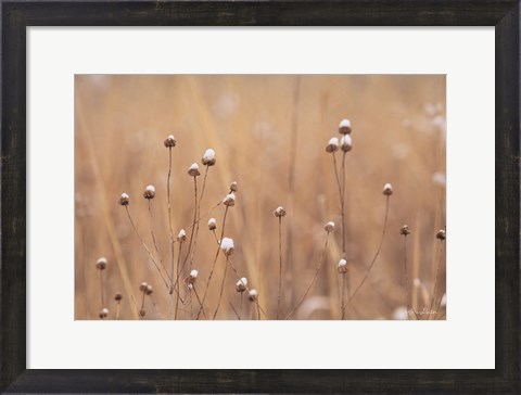 Framed Snow Capped Wildflowers Print