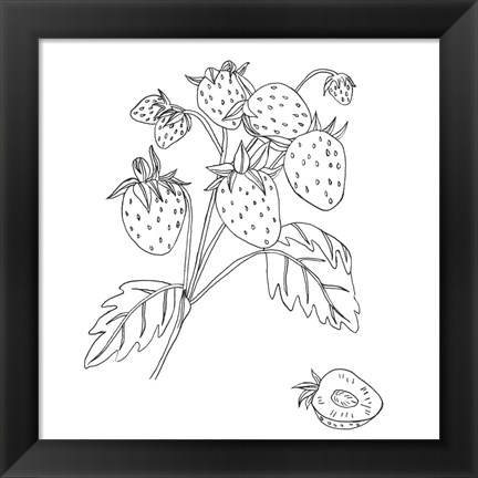 Framed Wild Strawberries II Print