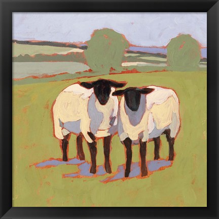 Framed Suffolk Sheep III Print