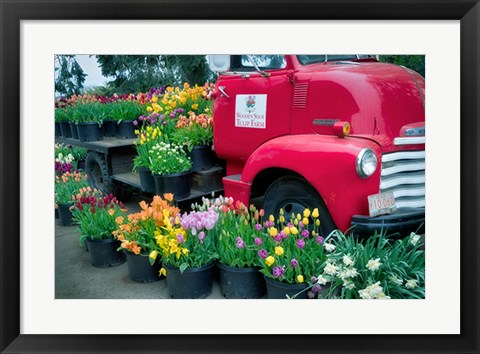 Framed Floral Truck Print