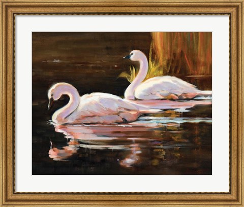 Framed Swans Print