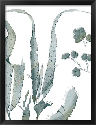 Framed Seaside Seaweed III Print