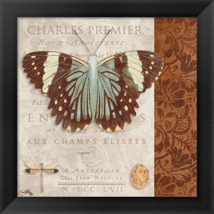 Framed Butterfly on Display II Print