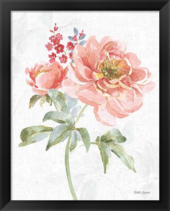 Framed Floral Focus VI Print