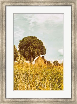Framed Grass and Sky Print