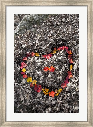 Framed Love in the Leaves Print