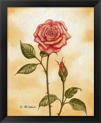 Framed Rose on Peach Print