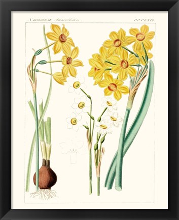 Framed Bright Botanicals III Print