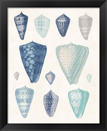 Framed Blue Shell Assortment II Print