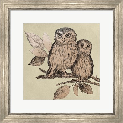 Framed Neutral Little Owls II Print