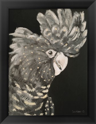 Framed Gray Cockatoo Print