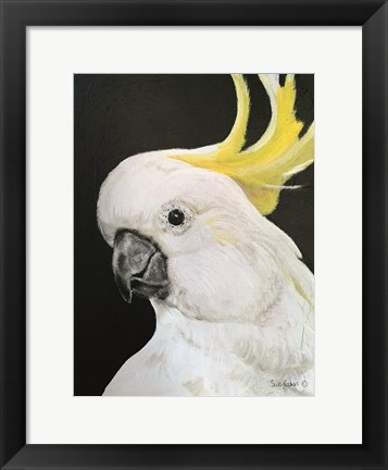 Framed White Cockatoo Print