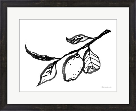 Framed Ink Lemon Print
