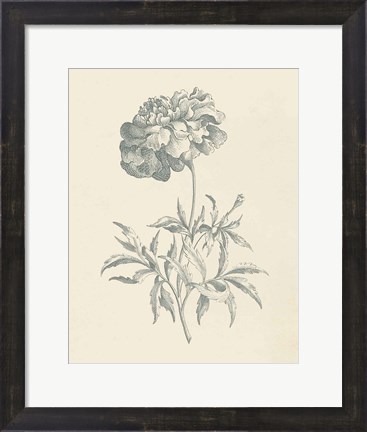 Framed Eden Floral II Print