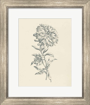 Framed Eden Floral I Print