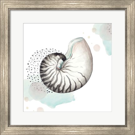 Framed Turquoise Ocean Nautilus Print