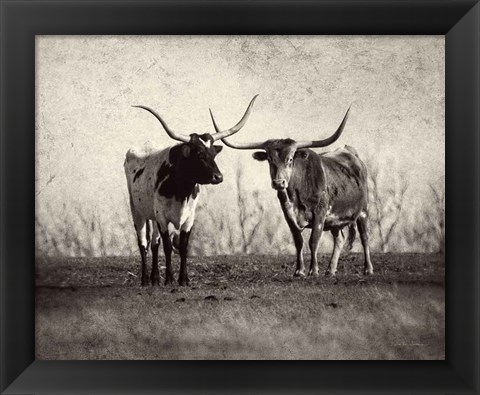 Framed Texas Longhorns Print
