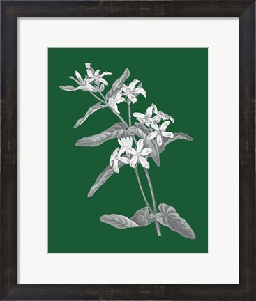 Framed Green Botanical IV Print