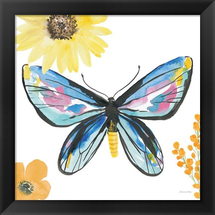 Framed Beautiful Butterfly III Blue No Words Print
