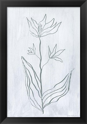 Framed Milkweeds III Print